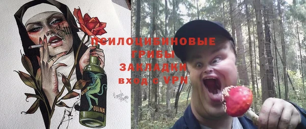 2c-b Кукмор