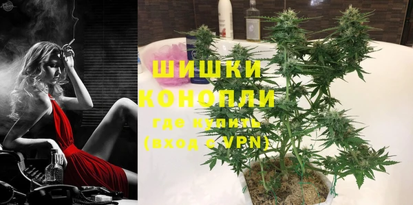 мдпв Кулебаки